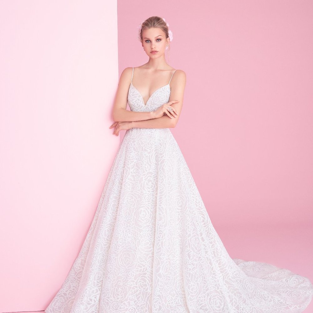 NEW Blush by Hayley Paige Jardin Gown